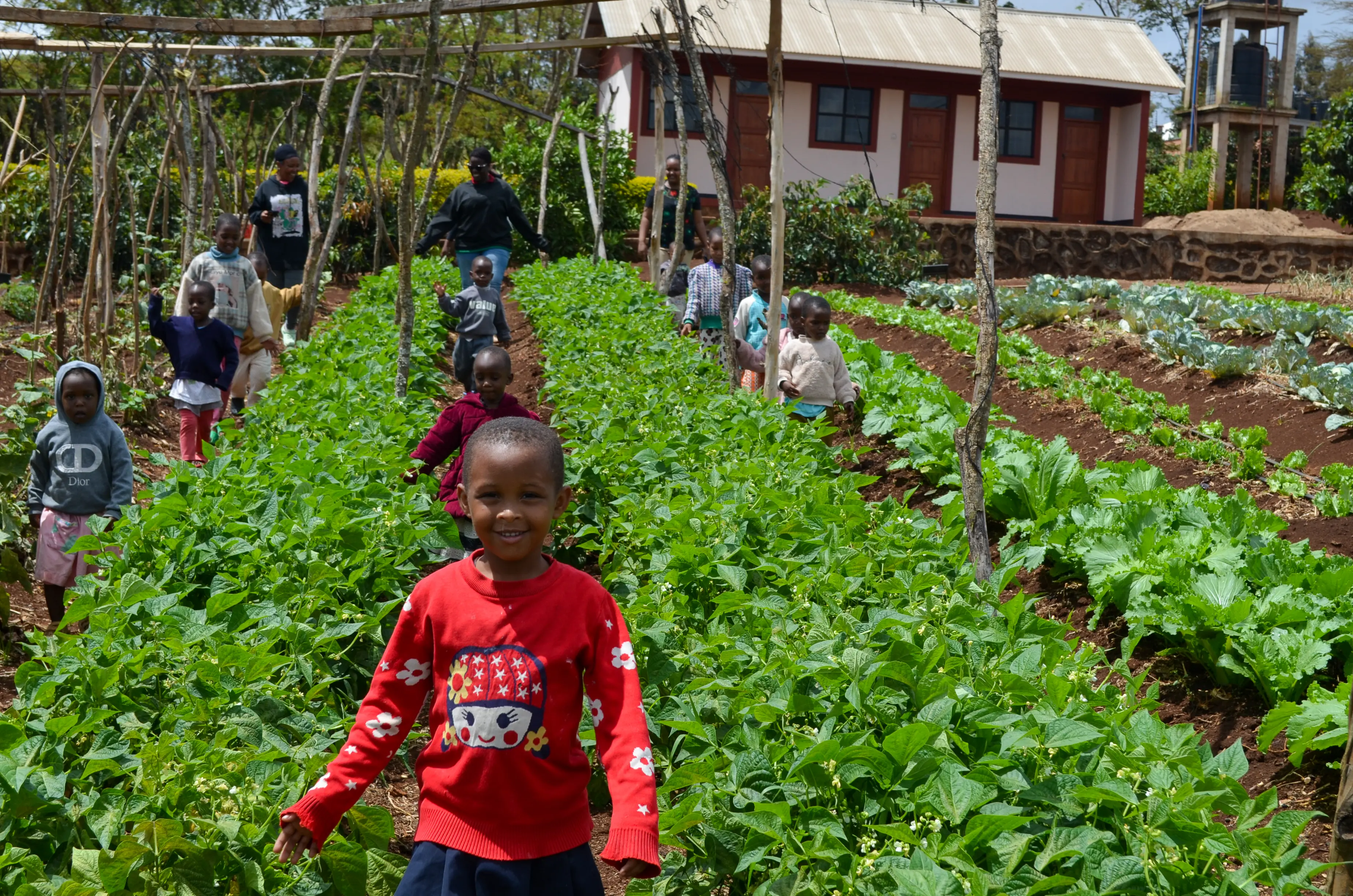 maasai girls walking through the ecofarm
